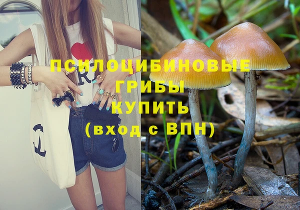 ECSTASY Абаза